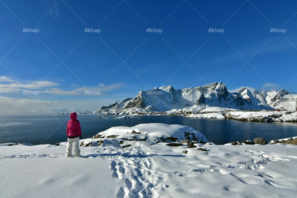 Beautiful glacier fjords