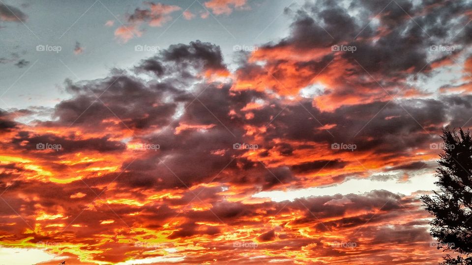 Montana sunset. Sky on fire.