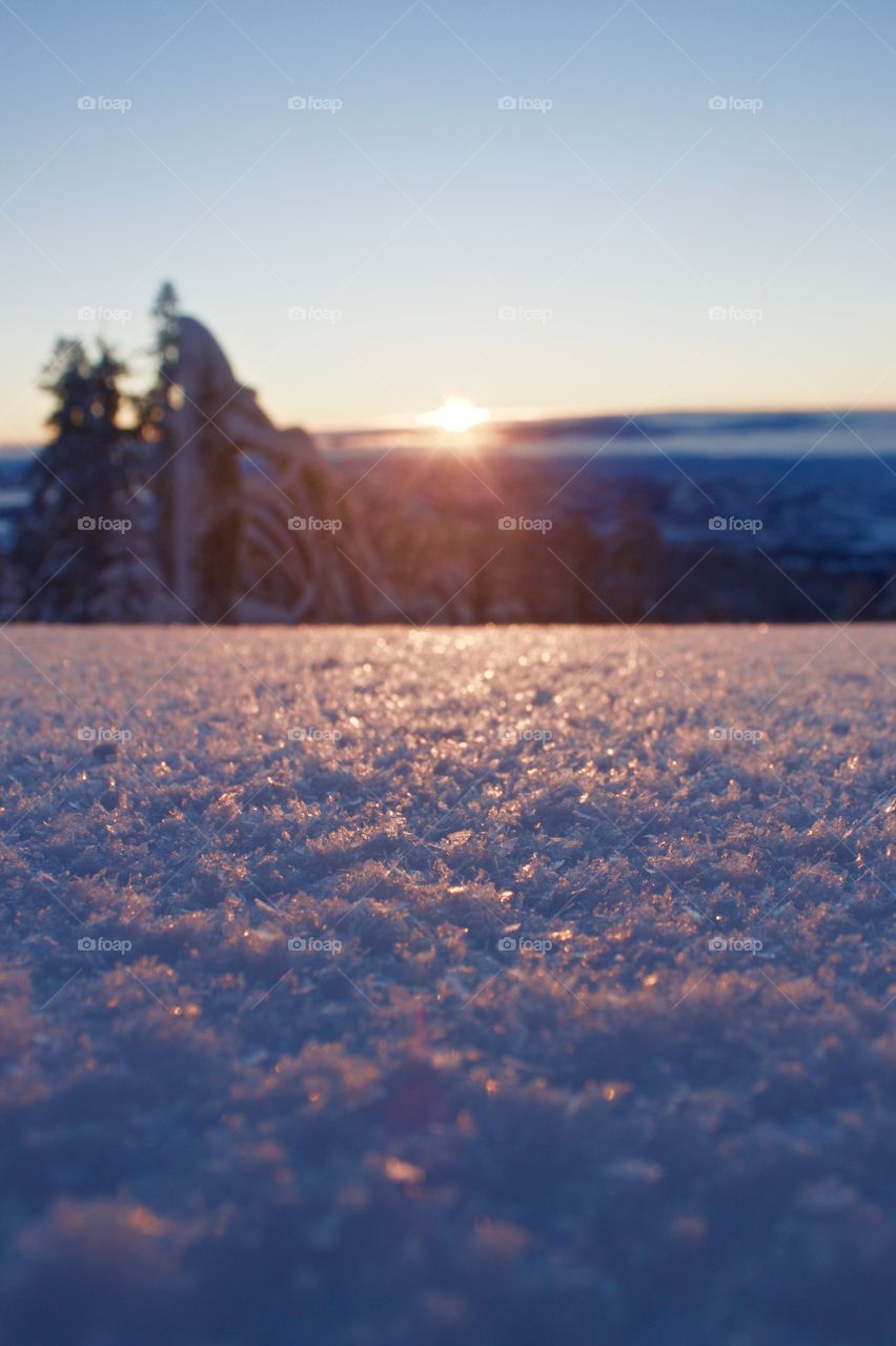 Sunrise Snowshoeing