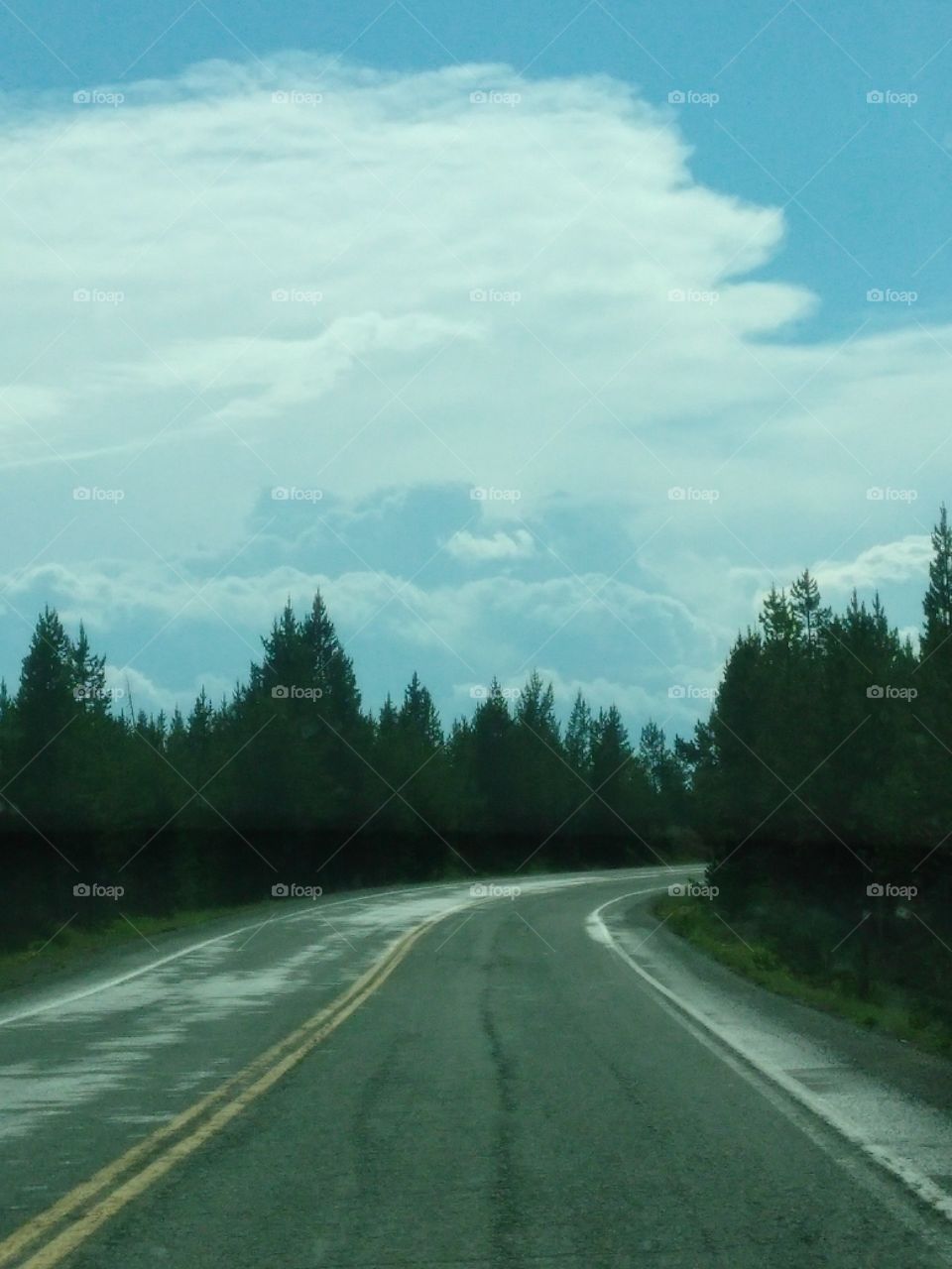 Roads of Yellowstone