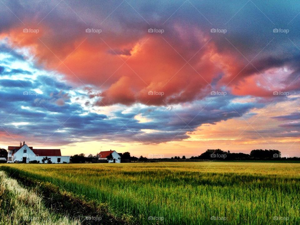 Sunset over the fields