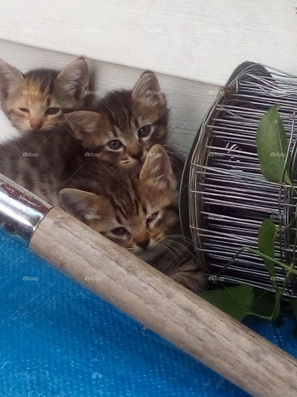 hi everyone the weekend is almost here so here we are wishing you an awesome weekend!