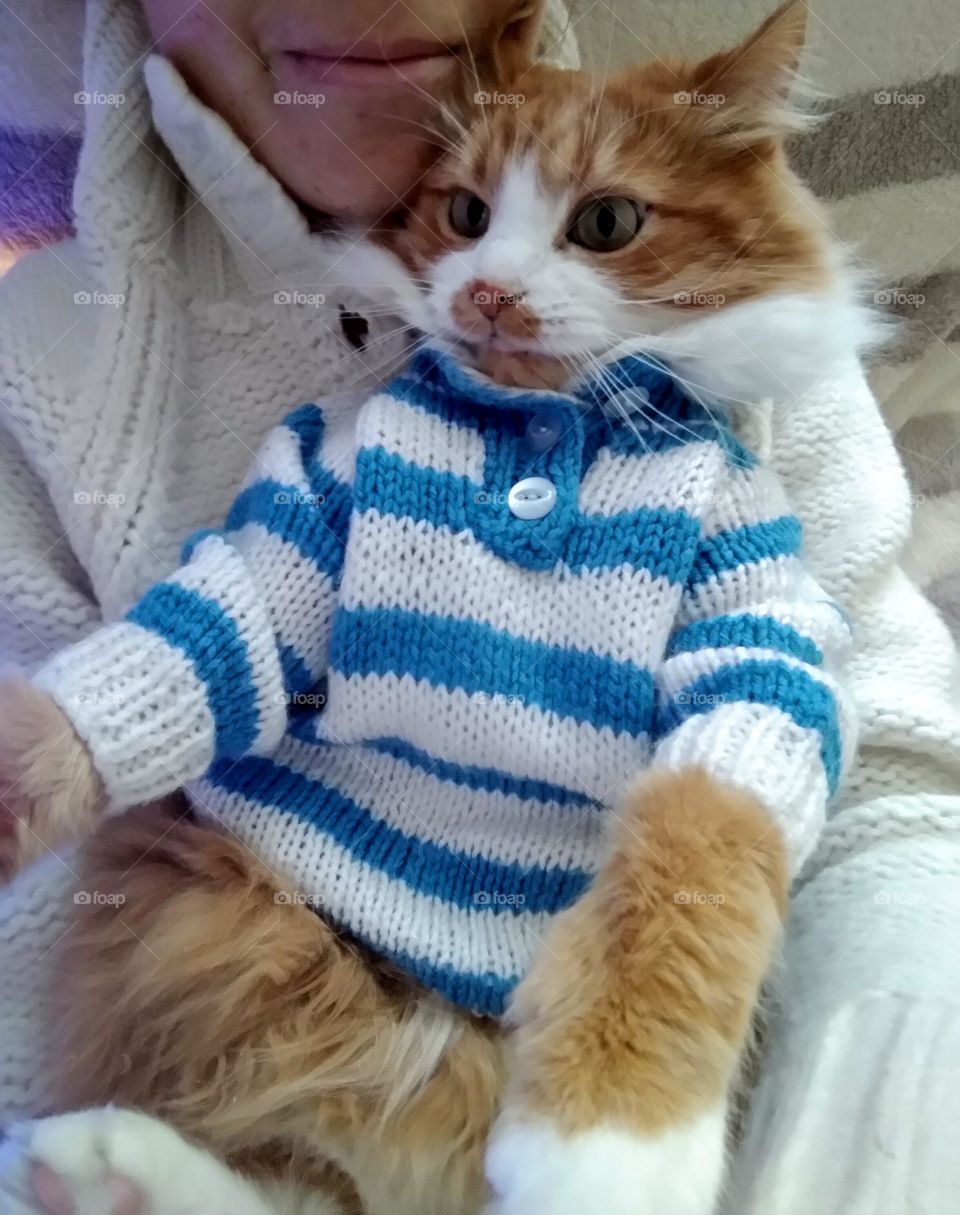 selfie girl with cat pet in the sweater