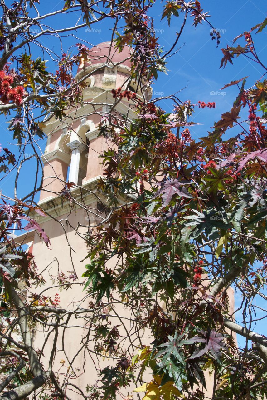 Pastel pink bell tower obscured by colourful vines
