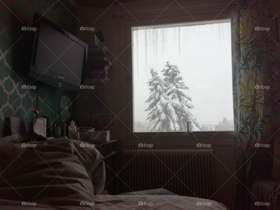view from window still in bed winter outside
