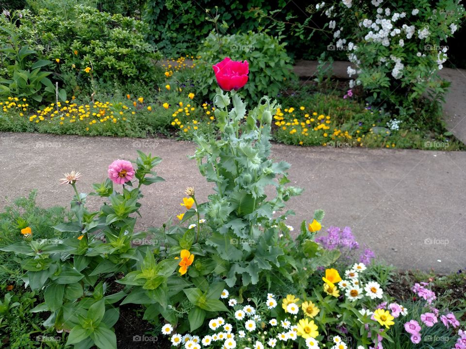 Flower Garden - Fort Vancouver National Historic Site