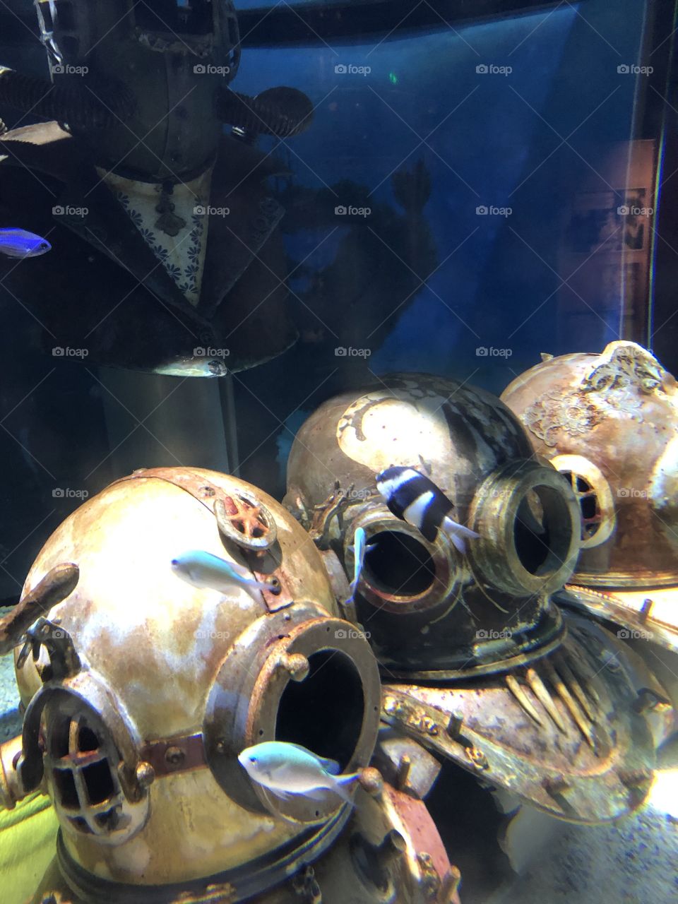 Diving Helmets Underwater