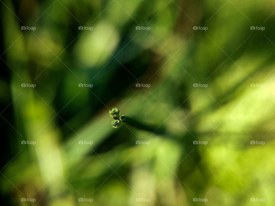 A Photo showing the importance of saving every droplets of water #macro