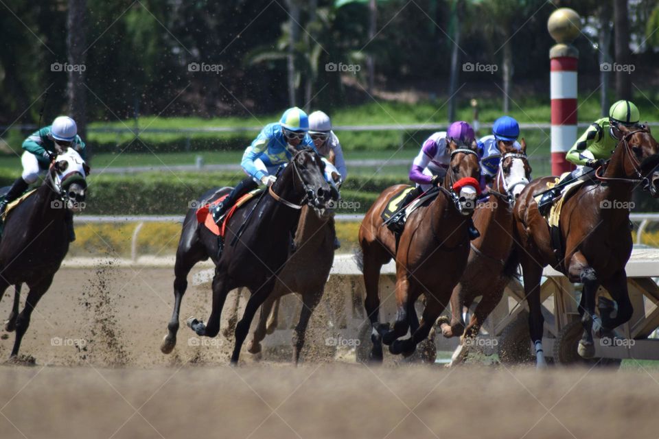 Racing to the finish line