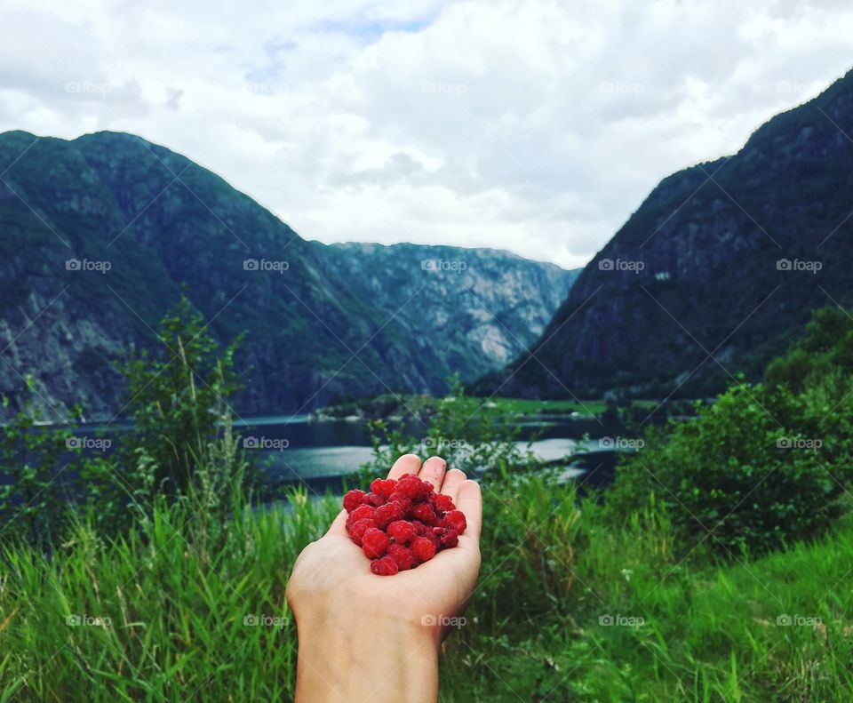 Nature, Outdoors, Summer, No Person, Mountain