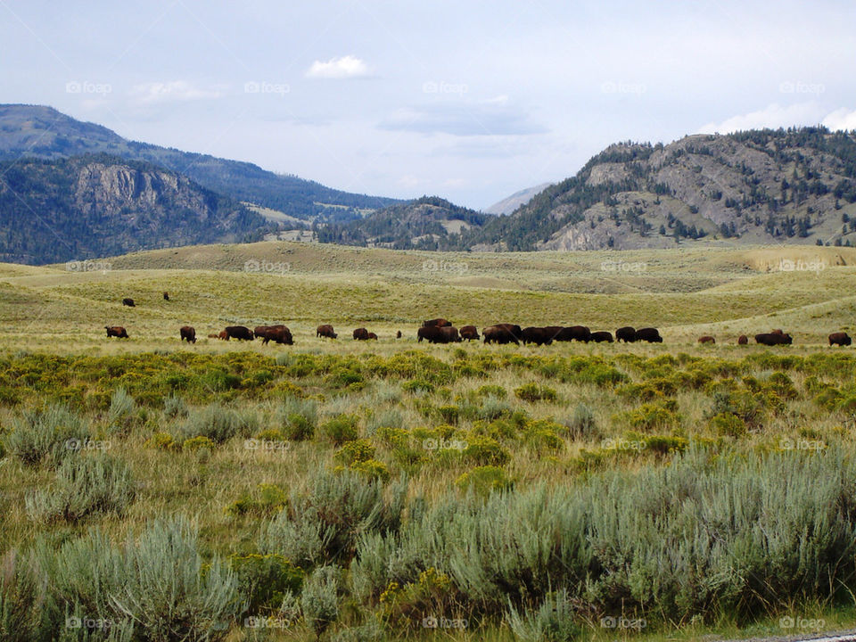 mountains hills south west by refocusphoto