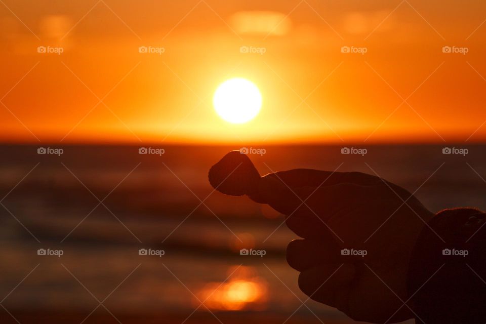 Silhouette of a hand holding a seashell into the sunset by the beach.