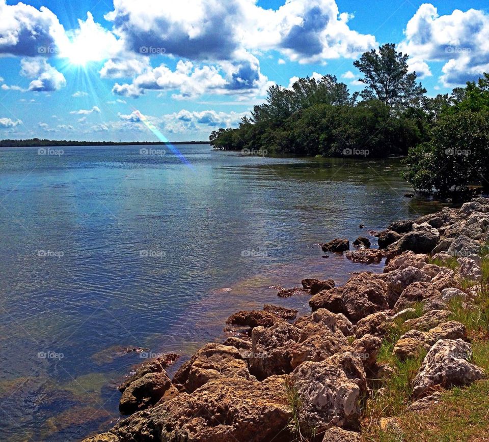 Tampa bay in bright sun