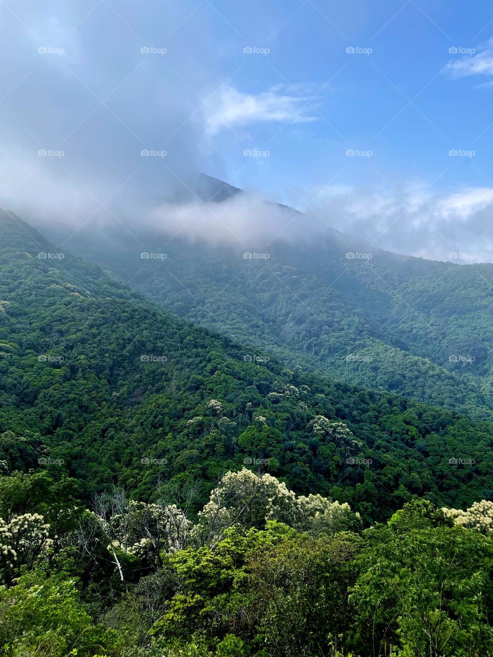 surrounded by clouds