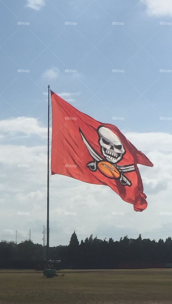 Tampa Bay Buccaneers NFL flag