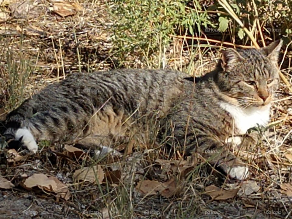 You can't see me, right?