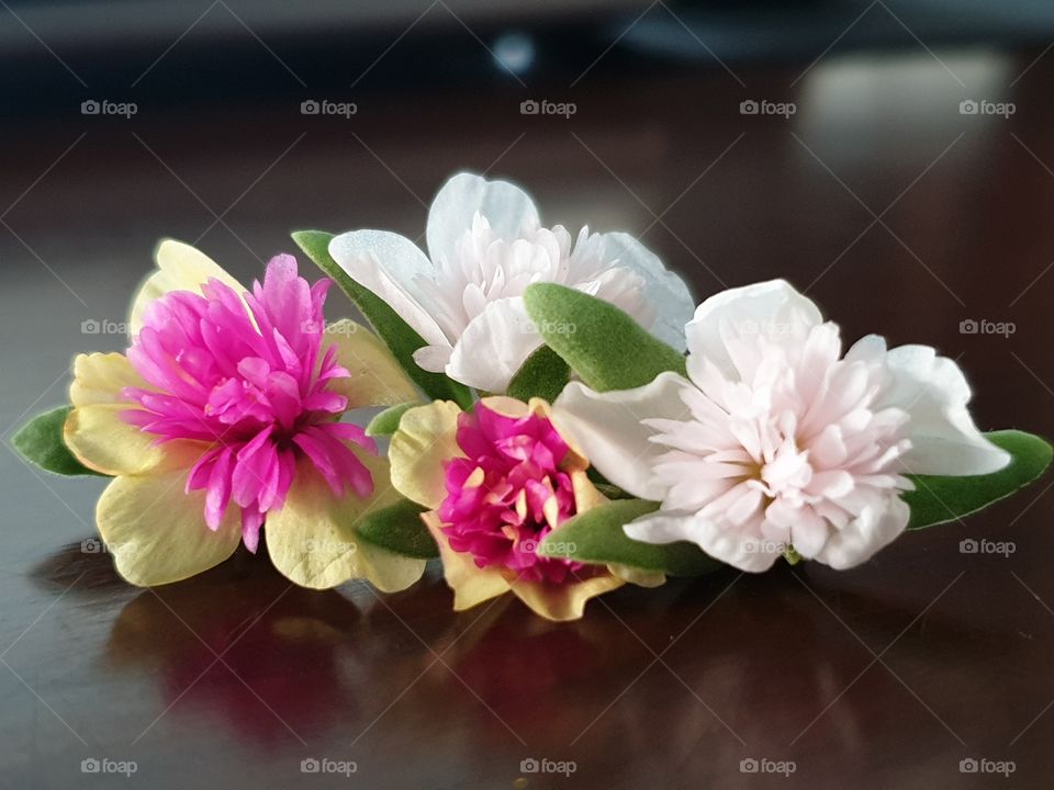 my beautiful Portulaca grandiflora