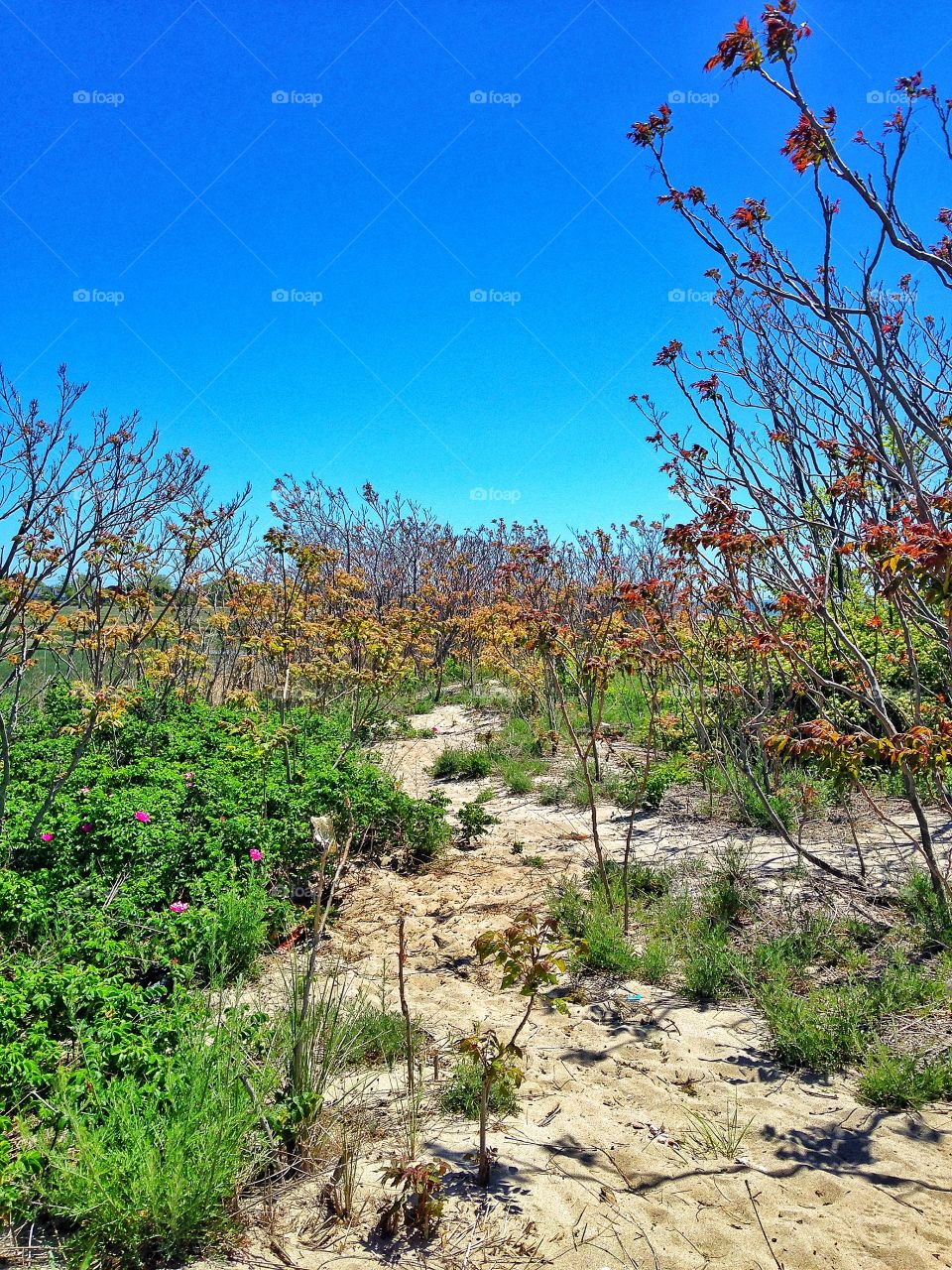 Stratford, CT. Long Beach Park