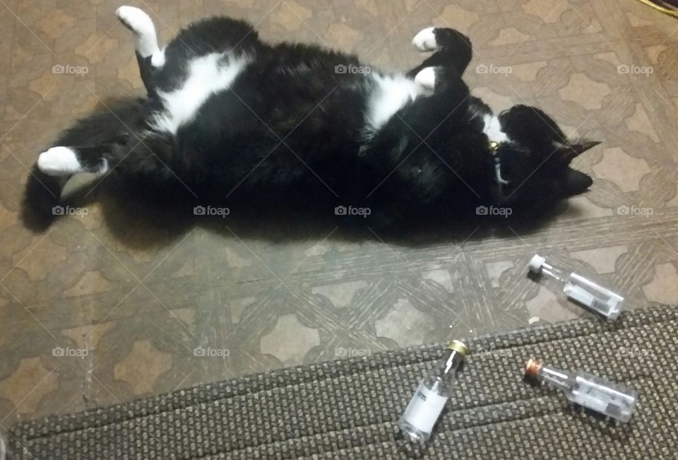 Blame it on the Alcohol