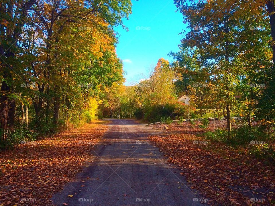 October road 