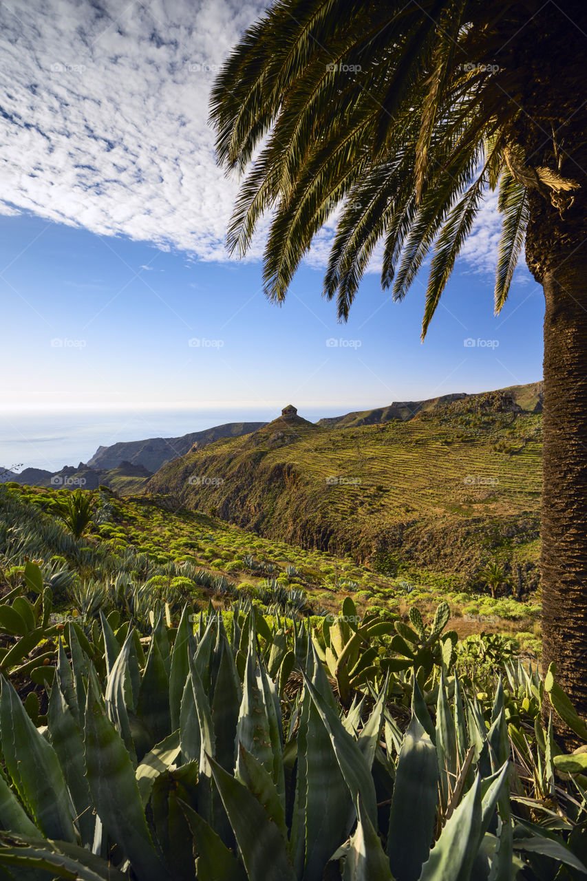 Paradise, La Gomers, Canary Islands