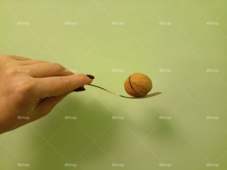 fork and walnut, walnut on a fork, zheg hand, manicure hand holding a fork, green wall