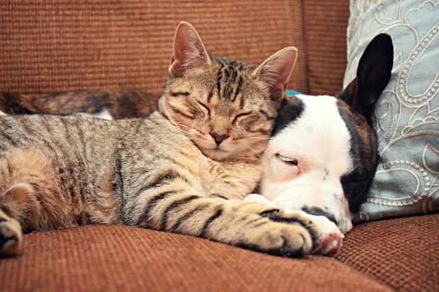 these two grew up together and have been best friends ever since. 