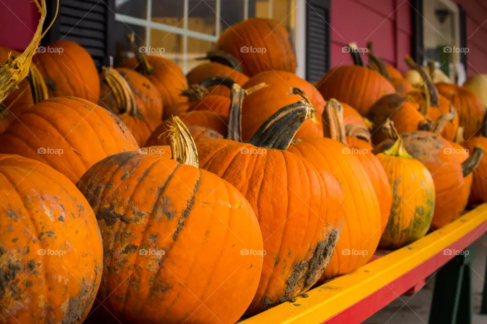 Pumpkin time!!!
