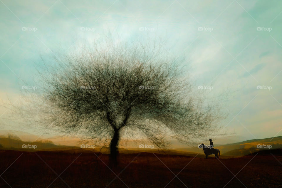 tree and horseman