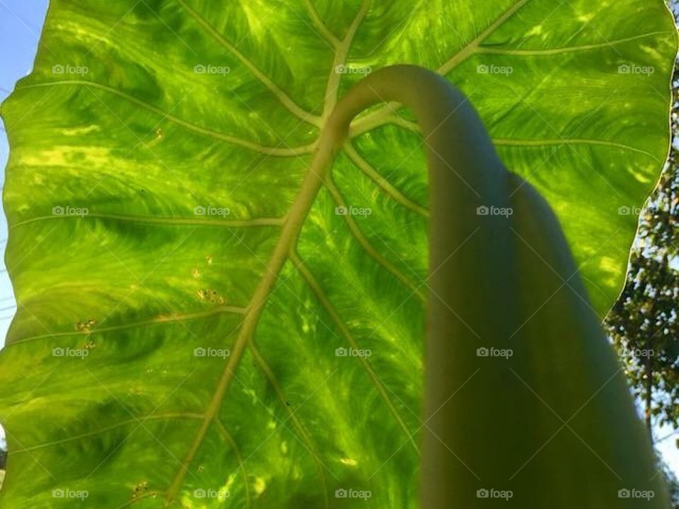 Looking on the inside.