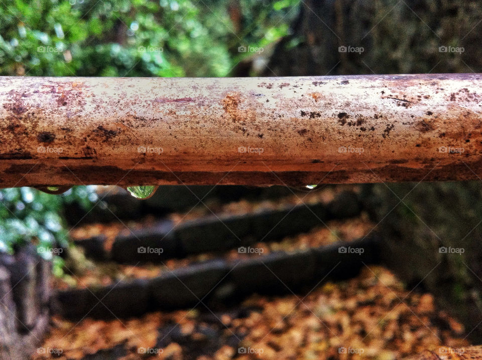 water leaf rain stairs by david_rain