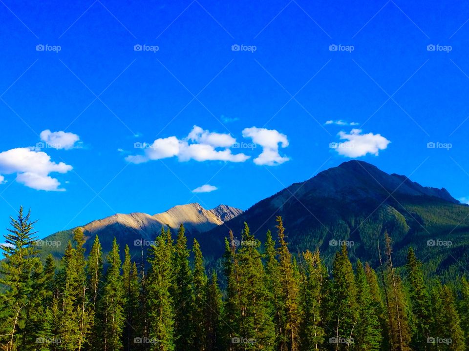 Blue mountain scene
