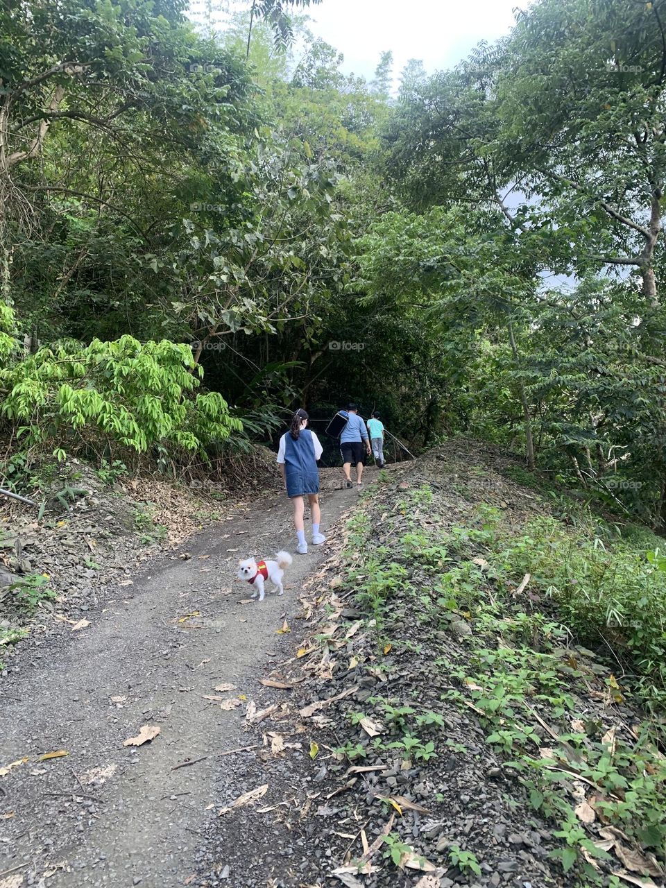 No bodies waited for me but my dog.