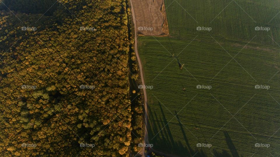 View from above: dirt road divides forest and field 