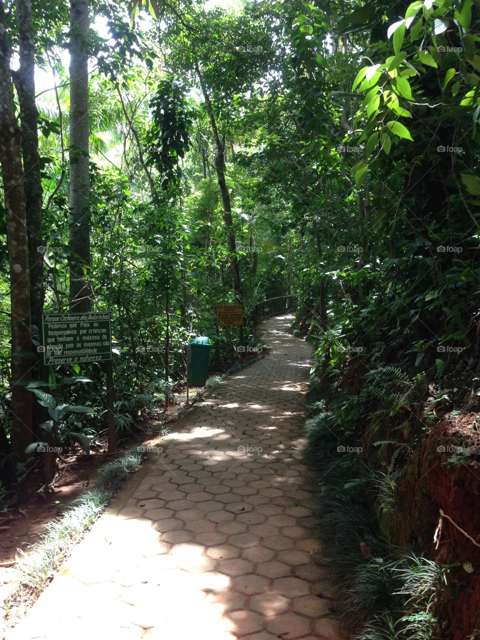 If someone says that the way you have ahead is not clear, would you start to walk?