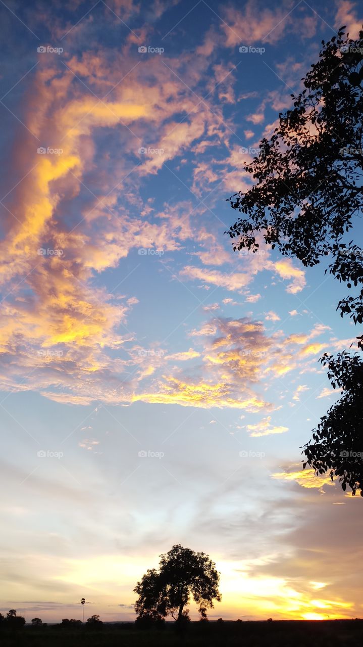 BBB..wonderful evening..when looking in side of Heart peace of mind in the sky nature's that's most effective golden clouds and tree's cropland.. it's so Good.