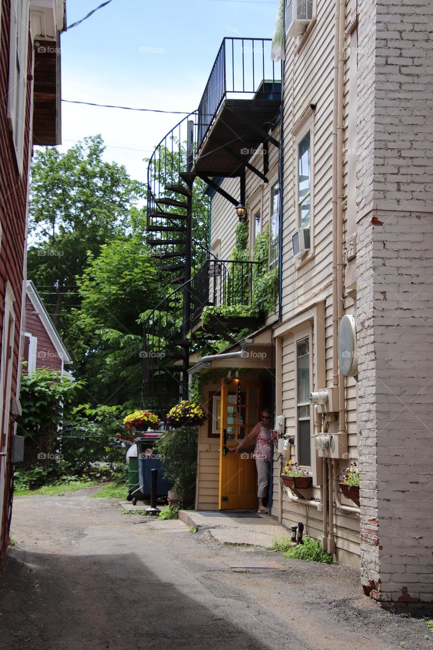 Urban plants in alley with stairway