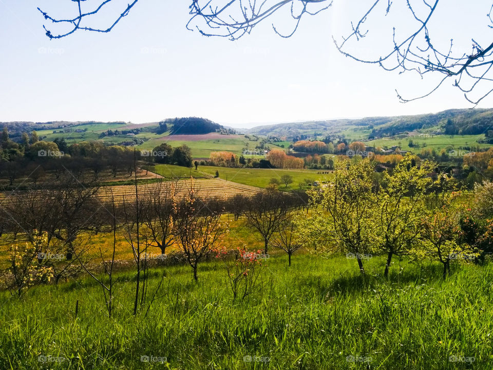 Landscape in Miribel in France