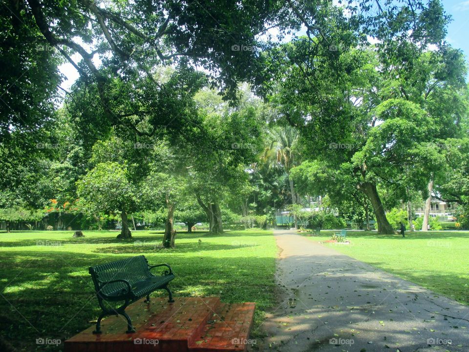 Bench-royal botanical gardens, Trinidad and Tobago.