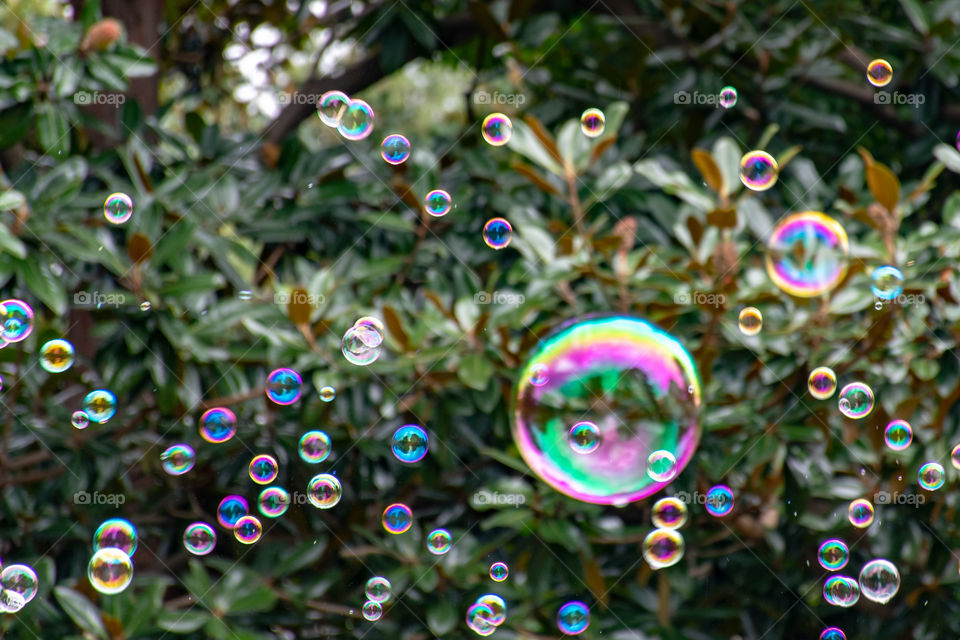 Bubbles at Oakland Cemetery