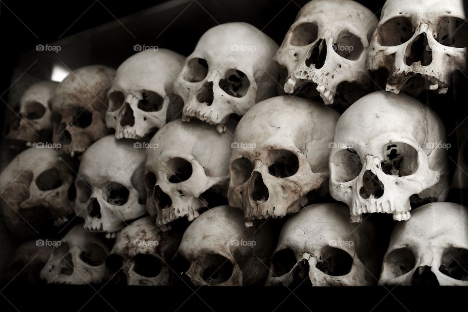 skull display