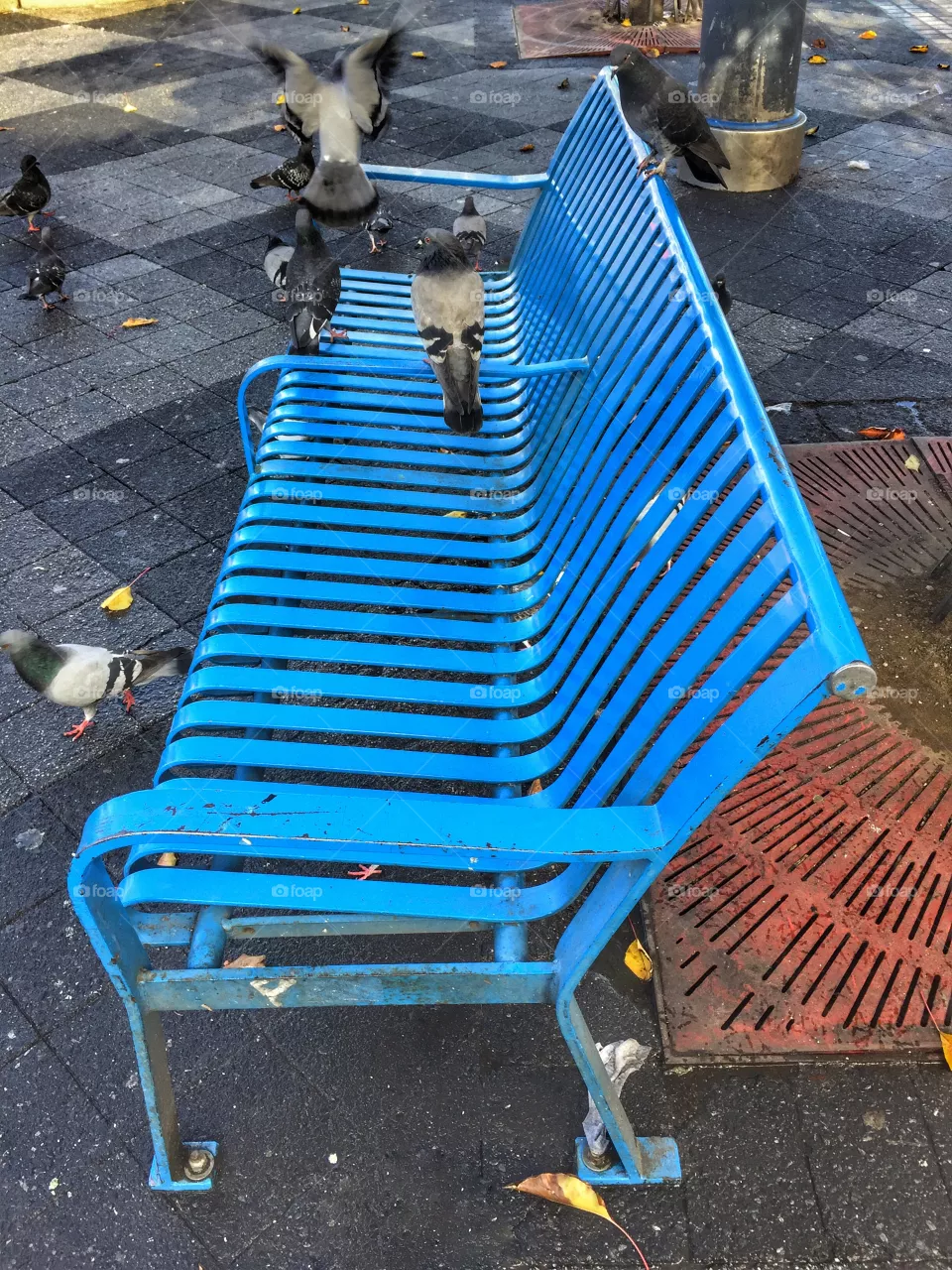 Bench 
