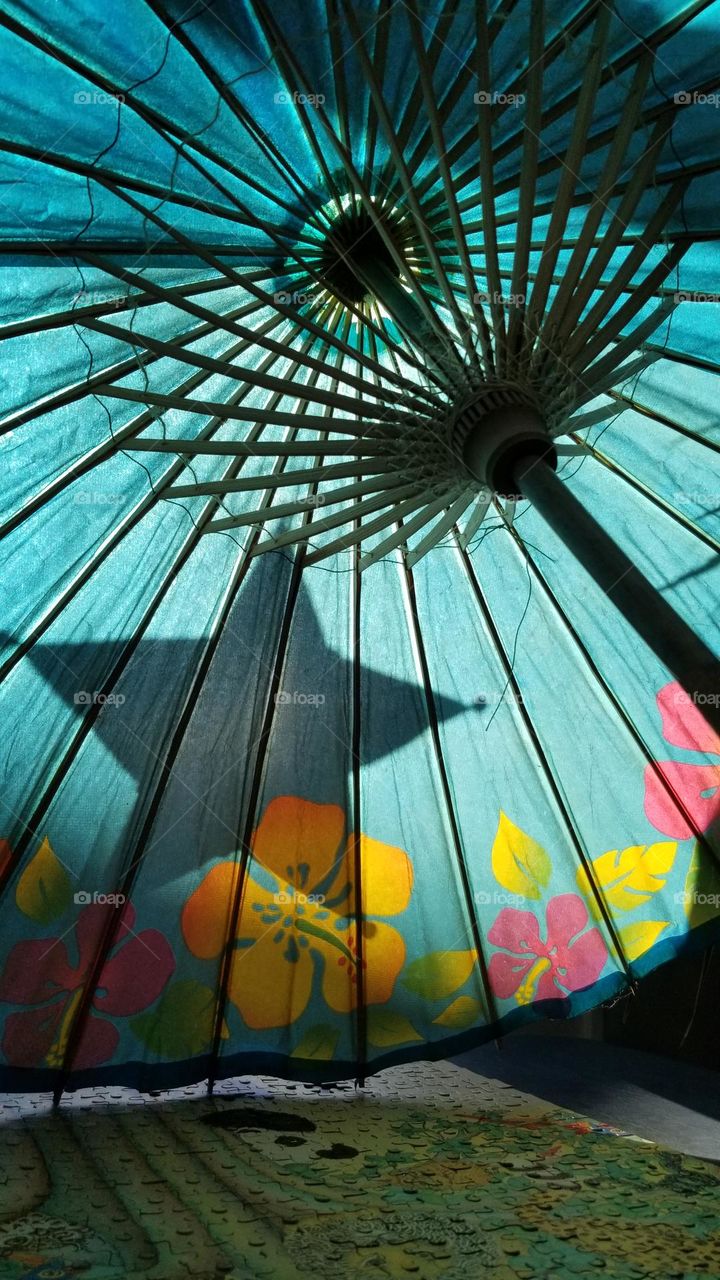 The Sun Coming Through My Window Onto My Colorful Paper Parasol The Star Is A Bonus