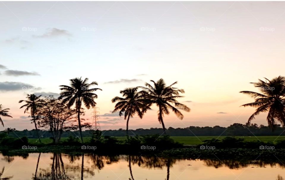Beautiful view of river side during sunset