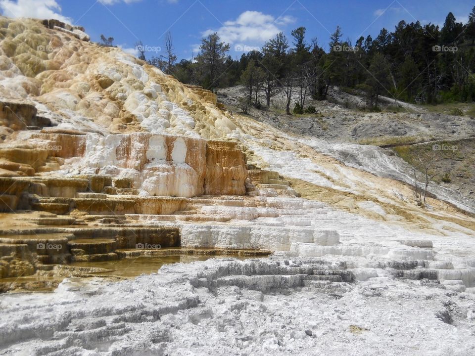 Yellowstone, WY