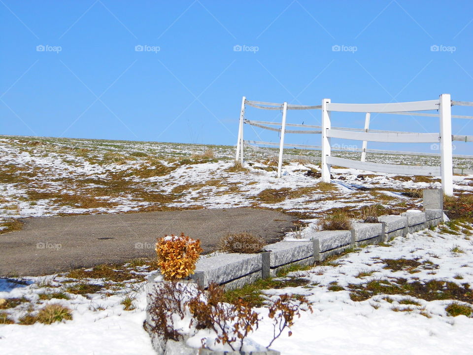 beautiful landscape in winter