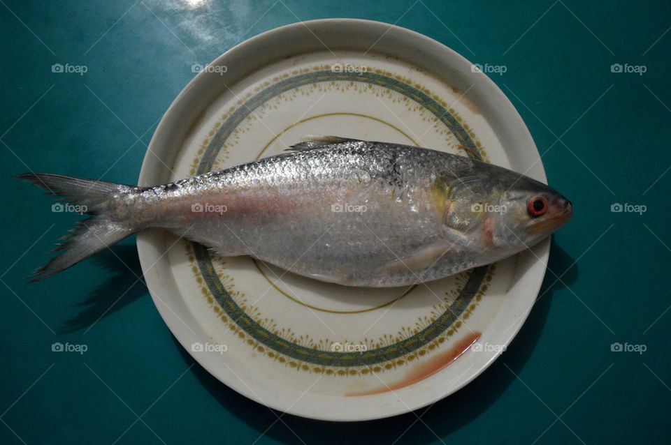 Hilsha fish. Most tastey fish