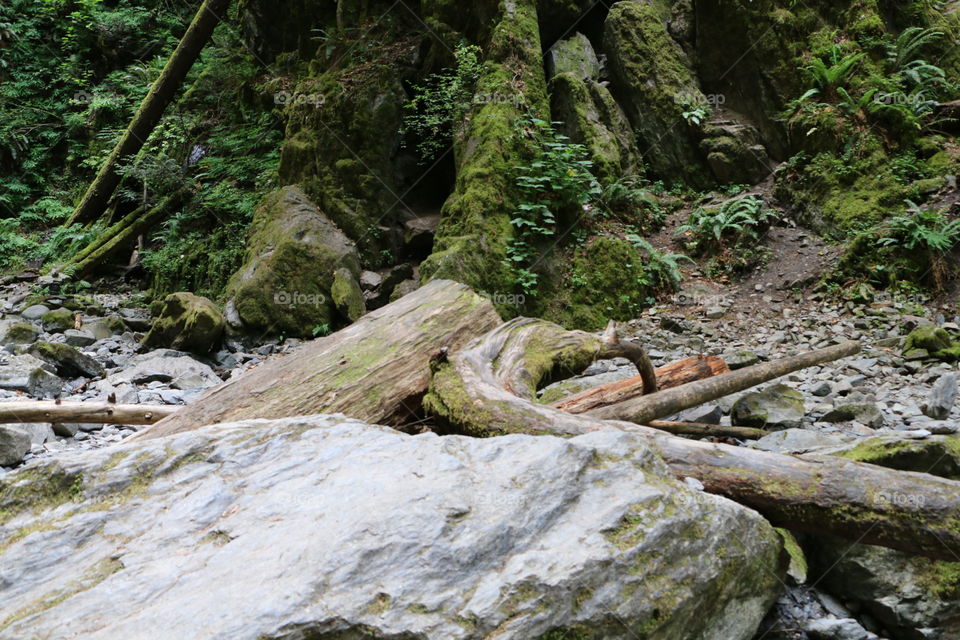 boulders and fallen logs lying in a drying up Creek bed in the Rocky Mountains