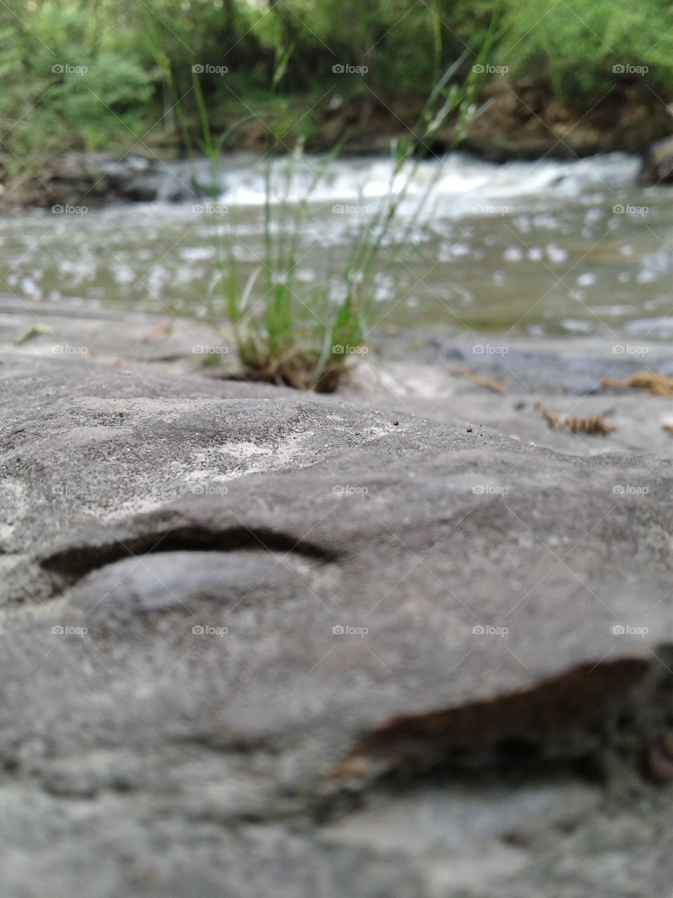 Riverside stone view