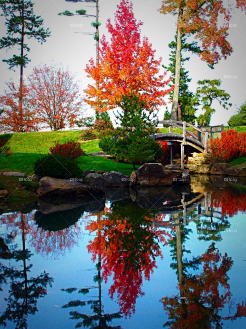 Japanese Garden. Japanese Garden 